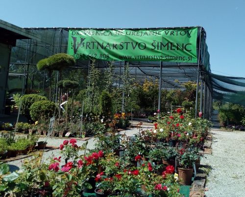 Darilni bon za 25 evrov.